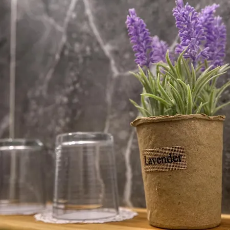 Apartmanhotel Mascot Boutique