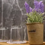 Апарт-отель Mascot Boutique