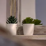 Апарт-отель Mascot Boutique 4*