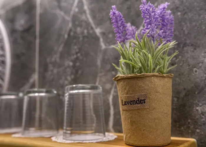 Hotel de apartamente Mascot Boutique